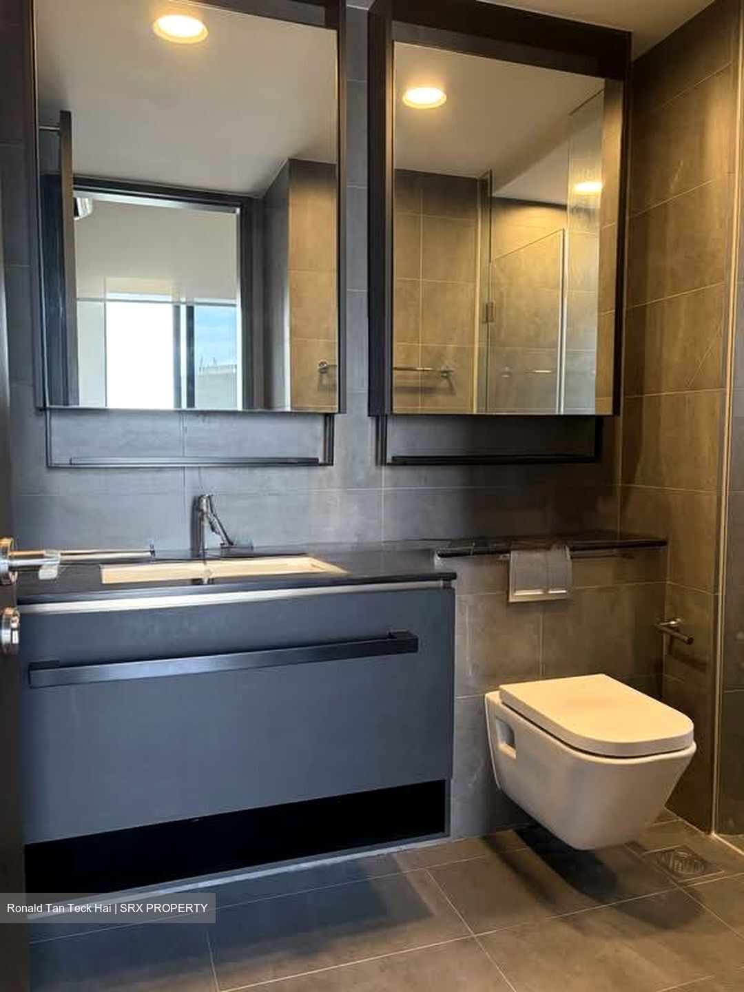 Park Colonial (D13), Condominium #555459221